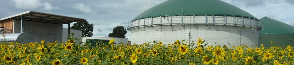 Biomasskraftwerk, Biogasanlage Rendswühren, Peter Krabbe